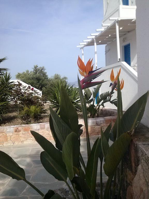 Hotel Glaronissia Rooms&Suites Pollonia Exterior foto